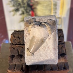 NWOT Shark-tooth Leather Bracelet